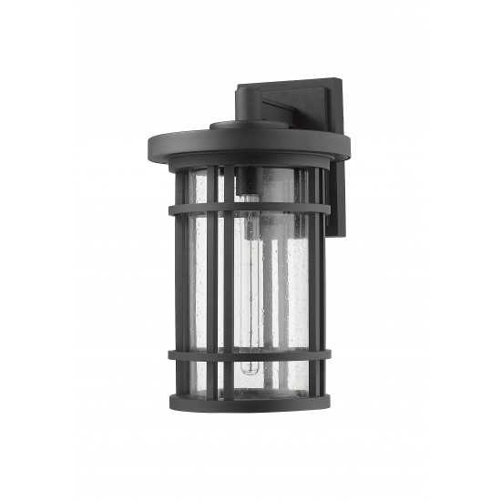 Z-Lite 1 Light Outdoor Wall Sconce