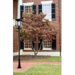 Z-Lite 4 Light Outdoor Post Mounted Fixture