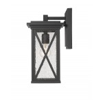 Z-Lite 1 Light Outdoor Wall Sconce