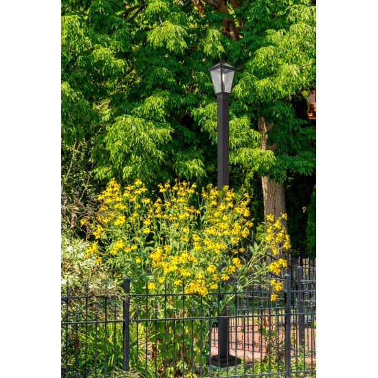 Z-Lite 1 Light Outdoor Post Mounted Fixture