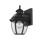 Z-Lite 1 Light Outdoor Wall Sconce