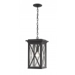 Z-Lite 1 Light Outdoor Chain Mount Ceiling Fixture