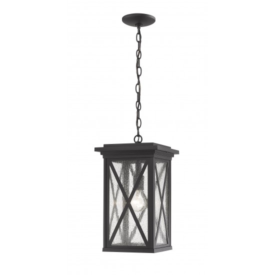 Z-Lite 1 Light Outdoor Chain Mount Ceiling Fixture