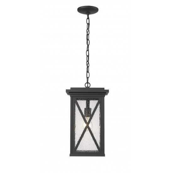 Z-Lite 1 Light Outdoor Chain Mount Ceiling Fixture