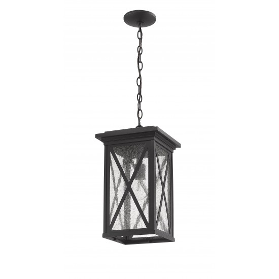 Z-Lite 1 Light Outdoor Chain Mount Ceiling Fixture