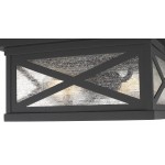 Z-Lite 2 Light Outdoor Flush Ceiling Mount Fixture