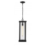 Z-Lite 1 Light Outdoor Chain Mount Ceiling Fixture