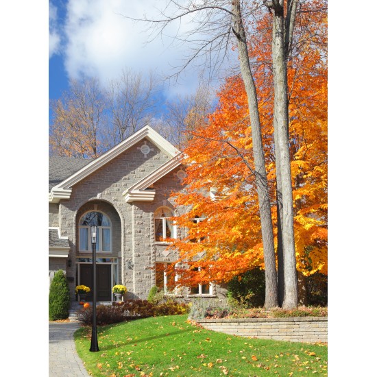 Z-Lite 1 Light Outdoor Post Mounted Fixture