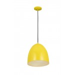 Z-Lite 1 Light Pendant