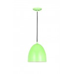 Z-Lite 1 Light Pendant