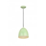 Z-Lite 1 Light Pendant