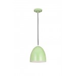 Z-Lite 1 Light Pendant