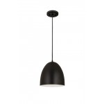 Z-Lite 1 Light Pendant