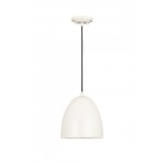 Z-Lite 1 Light Pendant