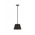 Z-Lite 1 Light Chandelier