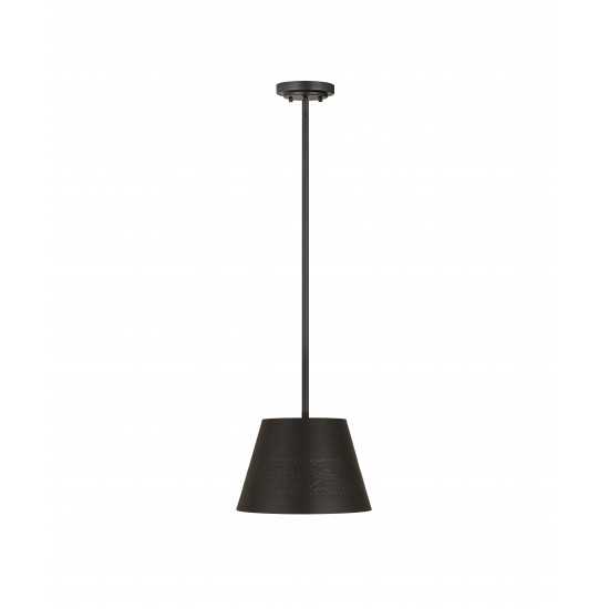 Z-Lite 1 Light Chandelier