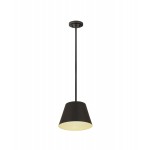 Z-Lite 1 Light Chandelier