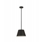 Z-Lite 1 Light Chandelier