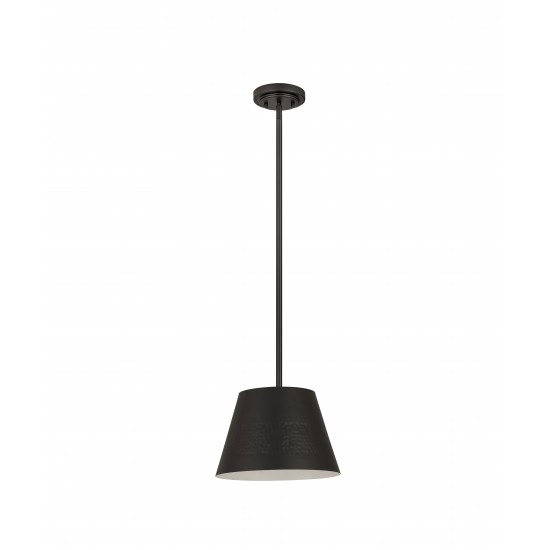 Z-Lite 1 Light Chandelier