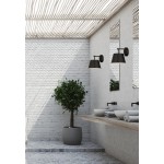 Z-Lite 1 Light Wall Sconce