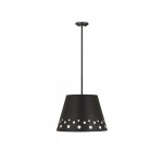 Z-Lite 1 Light Chandelier