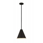 Z-Lite 1 Light Pendant