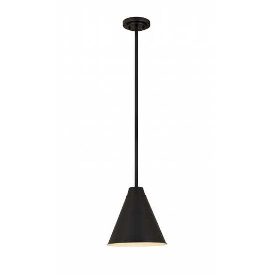 Z-Lite 1 Light Pendant