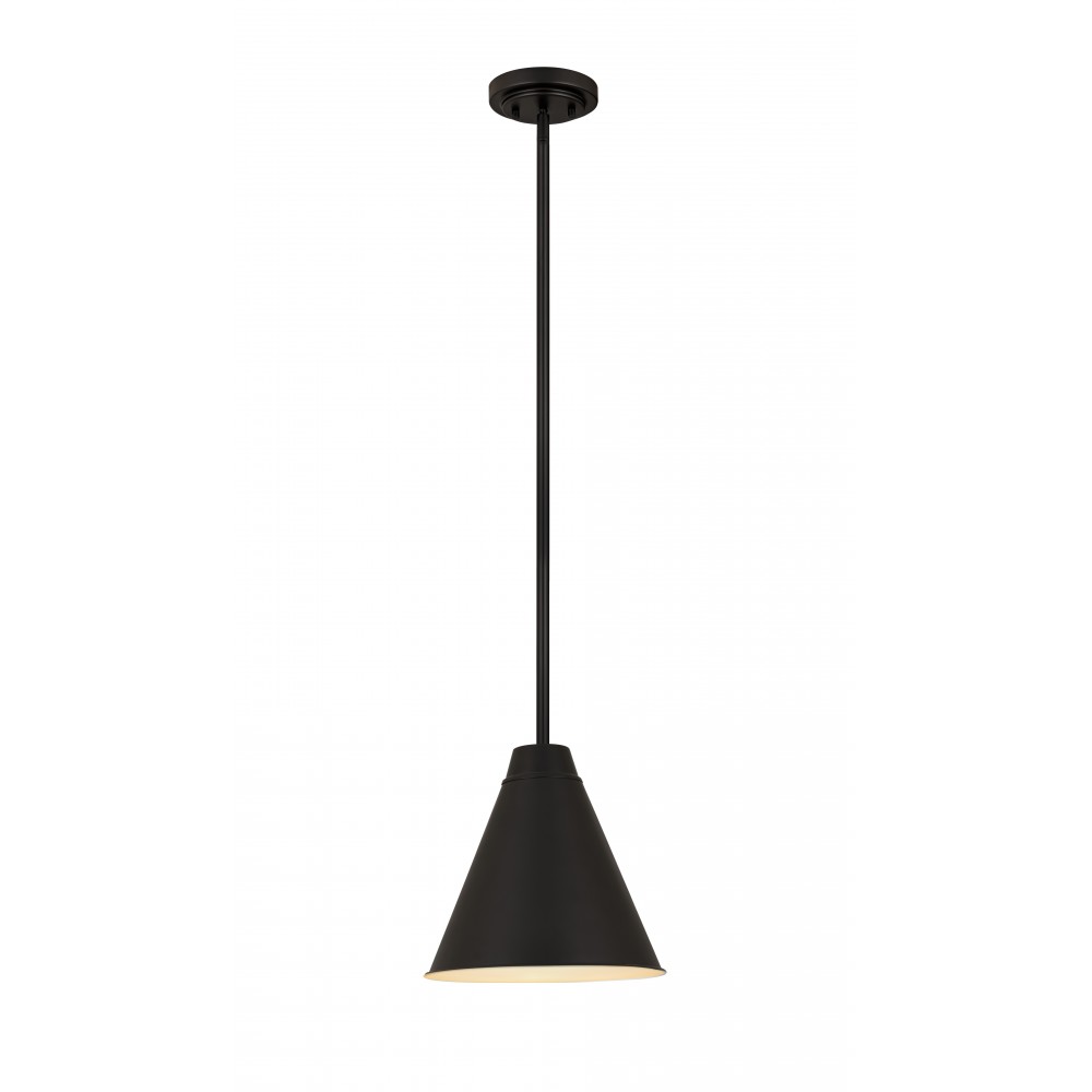 Z-Lite 1 Light Pendant