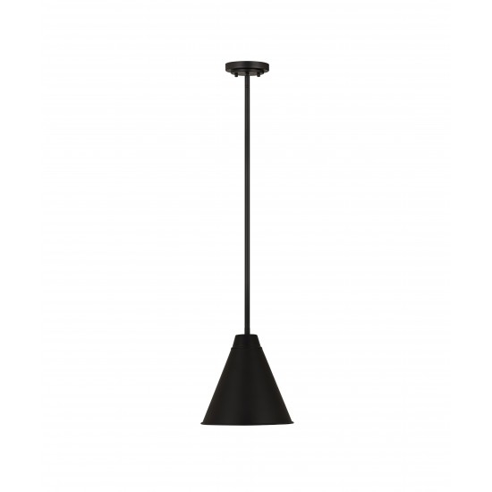 Z-Lite 1 Light Pendant