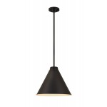 Z-Lite 1 Light Pendant