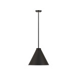 Z-Lite 1 Light Pendant