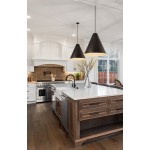 Z-Lite 1 Light Pendant