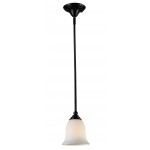 Z-Lite 1 Light Mini Pendant