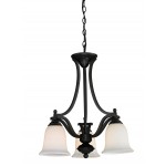 Z-Lite 3 Light Chandelier