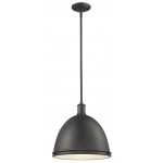 Z-Lite 1 Light Pendant