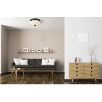 Z-Lite 2 Light Flush Mount