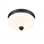 Z-Lite 2 Light Flush Mount