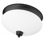 Z-Lite 2 Light Flush Mount