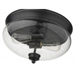 Z-Lite 2 Light Flush Mount