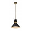 Z-Lite 1 Light Pendant