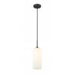 Z-Lite 1 Light Pendant