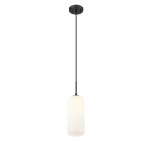 Z-Lite 1 Light Pendant