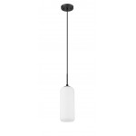 Z-Lite 1 Light Pendant