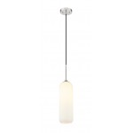 Z-Lite 1 Light Pendant