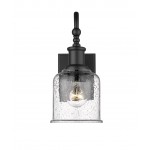 Z-Lite 1 Light Wall Sconce