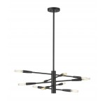 Z-Lite 10 Light Chandelier