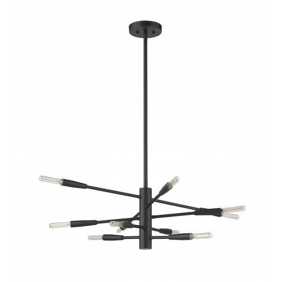 Z-Lite 10 Light Chandelier