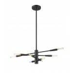 Z-Lite 8 Light Chandelier
