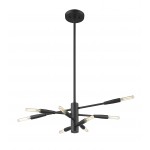 Z-Lite 8 Light Chandelier