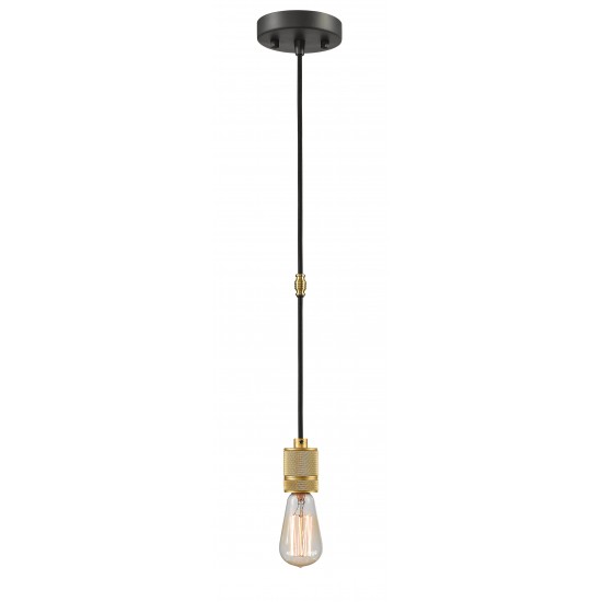 Z-Lite 1 Light Mini Pendant